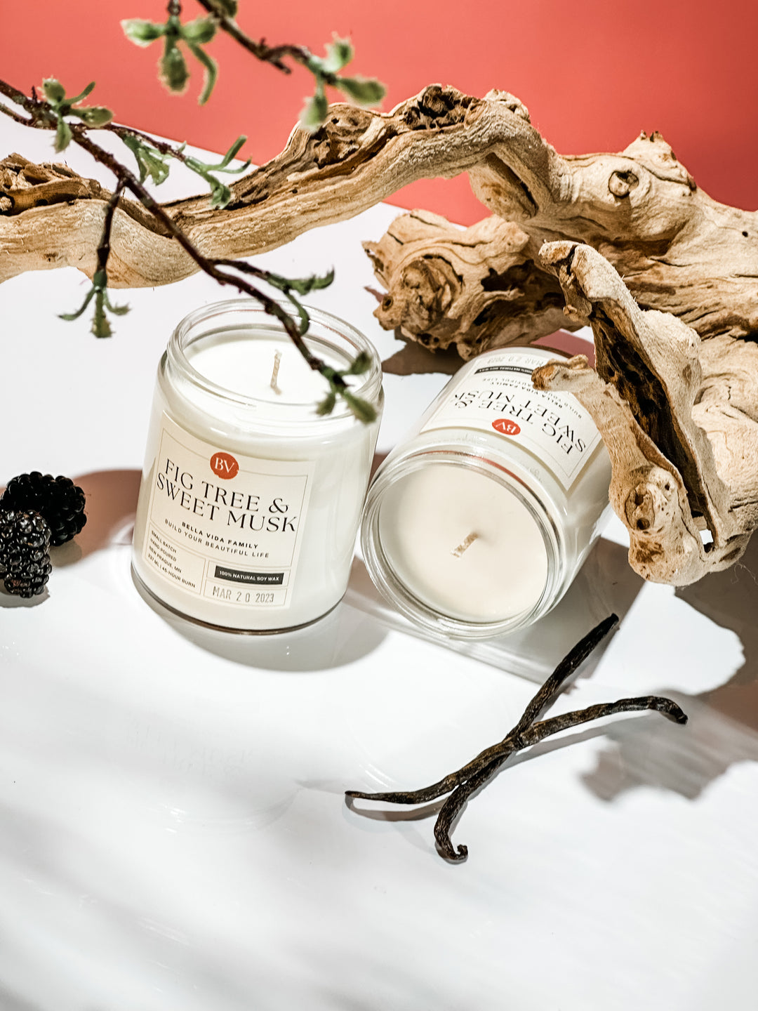 Fig Tree & Sweet Musk Soy Candle
